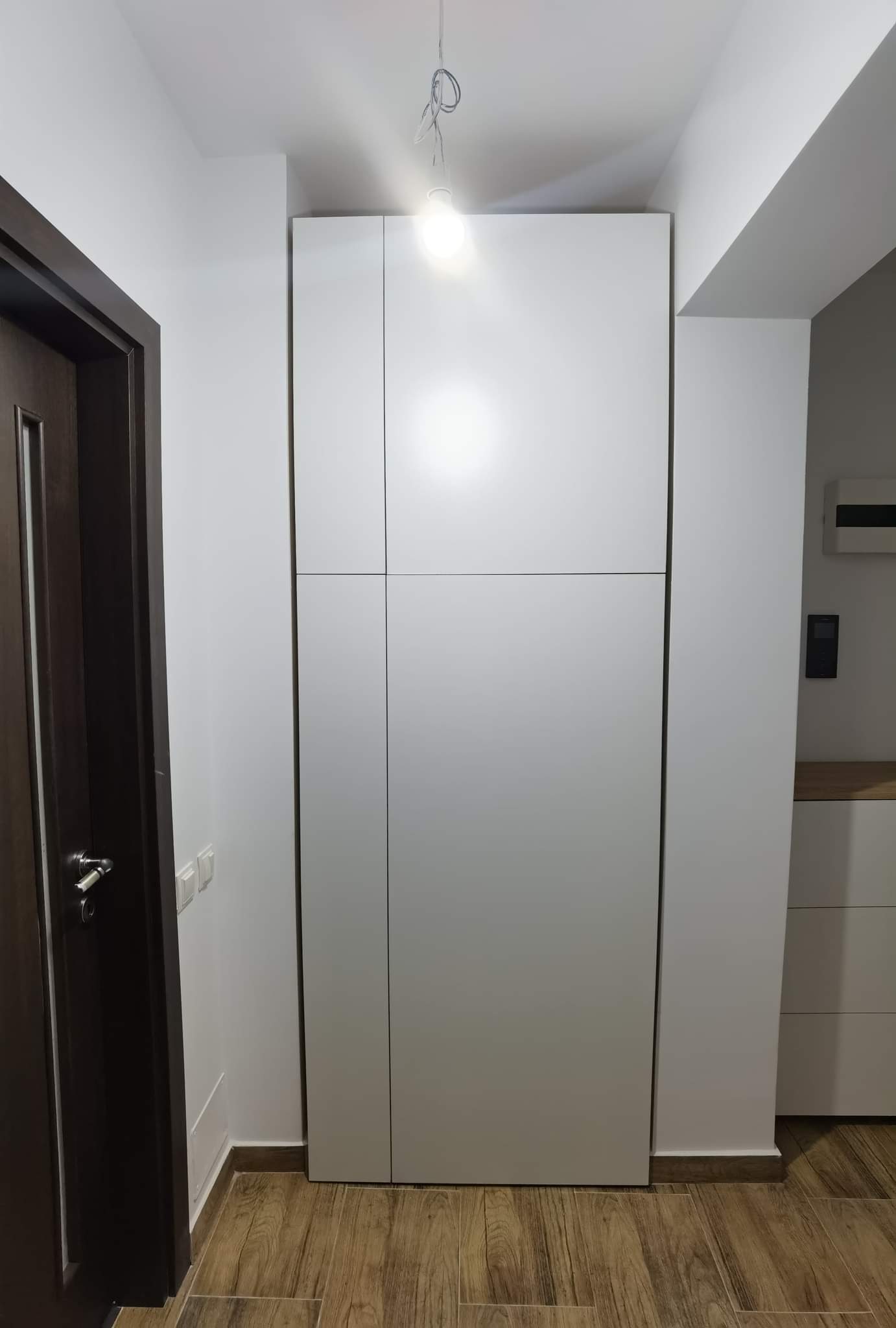 Model Concept — Proiecte Speciale